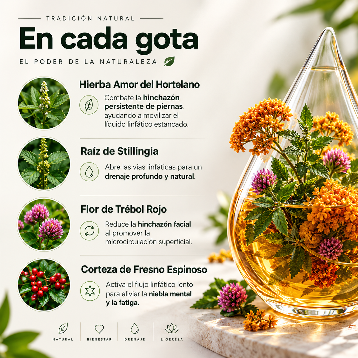 Gotas de Bienestar para Drenaje Linfático